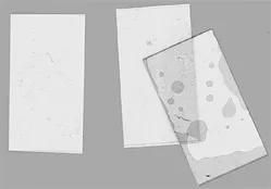 .005'' Thick Plate Glass .85 x 1.70'' 2.16 x 4.32cm pkg(4) Ngineering N70044 NGIN70044